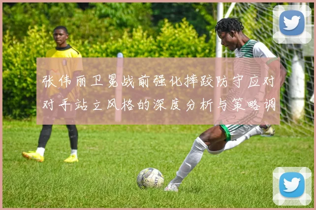张伟丽卫冕战前强化摔跤防守应对对手站立风格的深度分析与策略调整