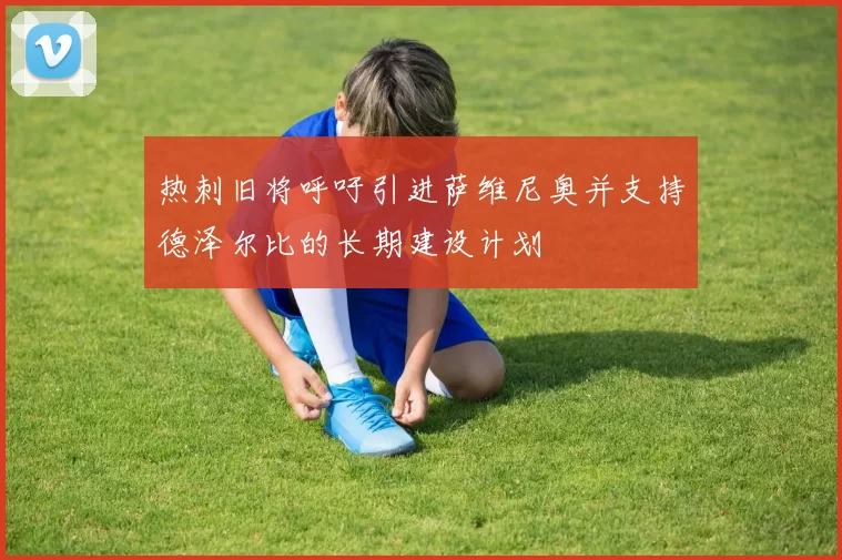 热刺旧将呼吁引进萨维尼奥并支持德泽尔比的长期建设计划